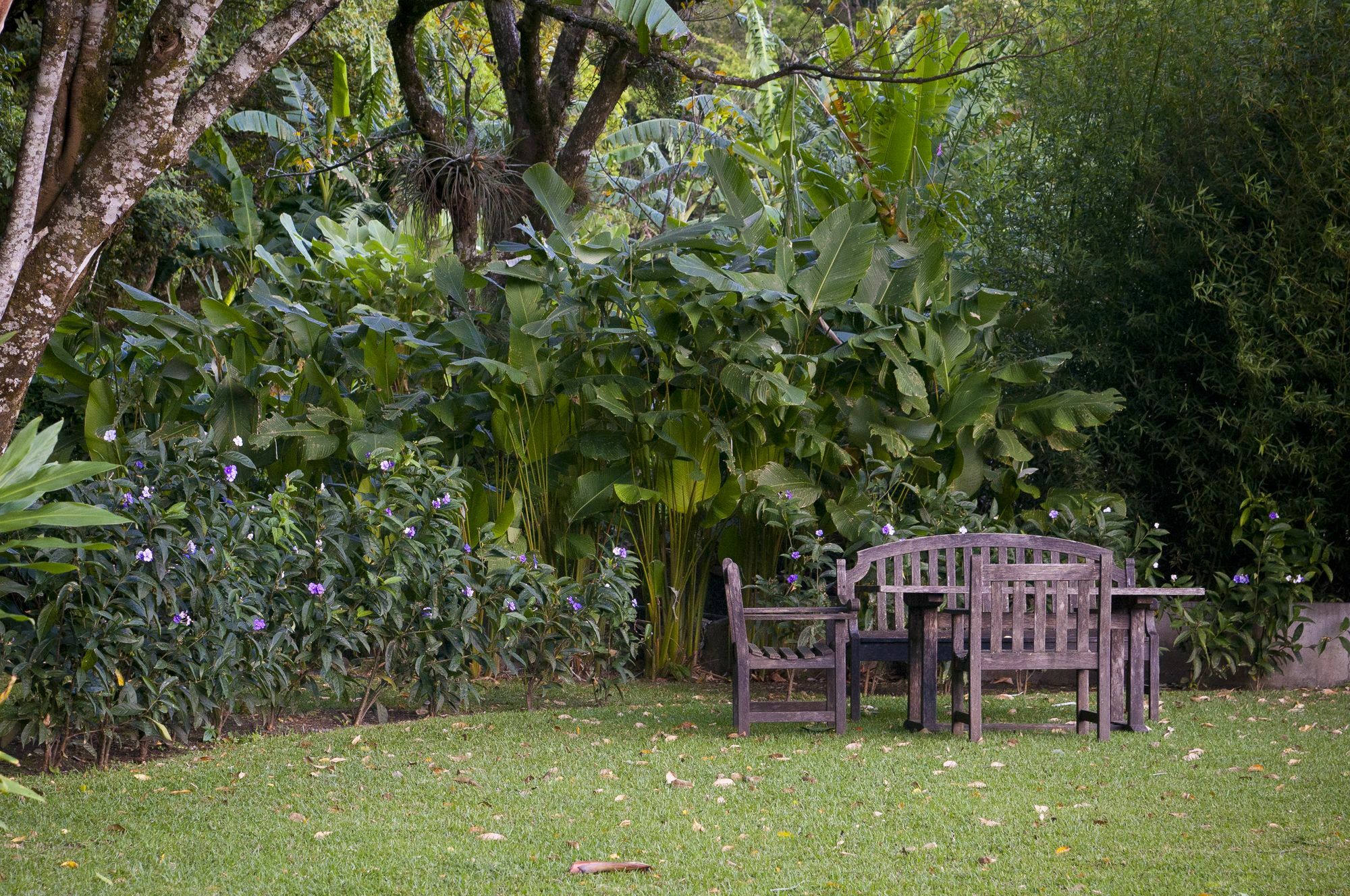 The Haven - Hotel & Spa, - Adults Only Boquete Exterior foto
