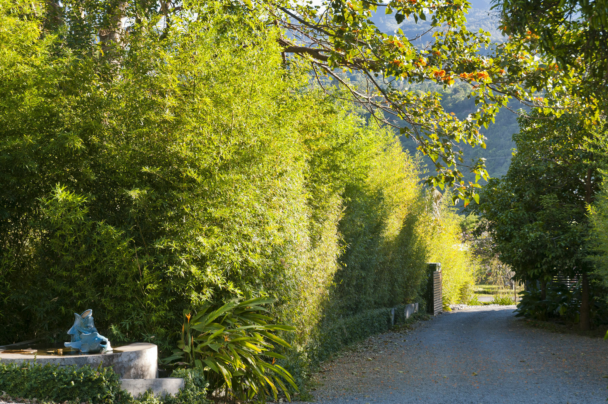 The Haven - Hotel & Spa, - Adults Only Boquete Exterior foto